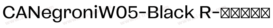 CANegroniW05-Black R字体转换